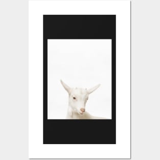 Goat print, Nursery, Animal, Kids room, Modern art, Wall decor Posters and Art